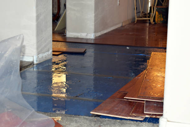 Professional Water Damage Restoration technician working in Holland, TX